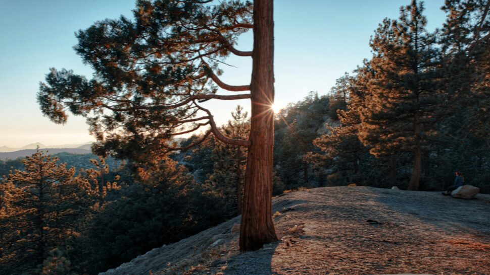 Angeles National Park as a day trip from Los Angeles