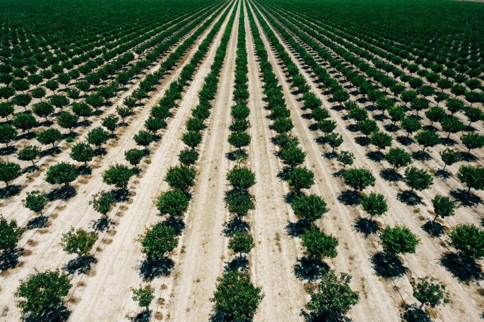 Napa Valley farm in California 