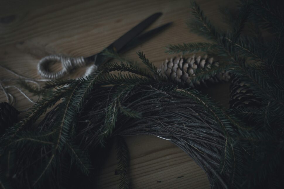 Branches and pinecones for celebrating Yule 