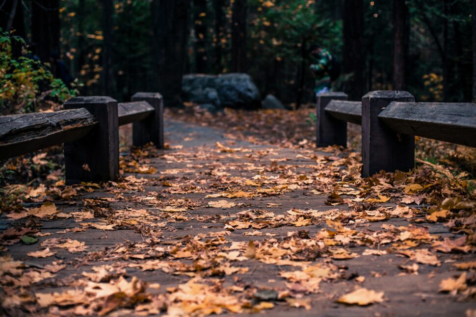 Yosemite Hiking Trail for travelers of all skill levels