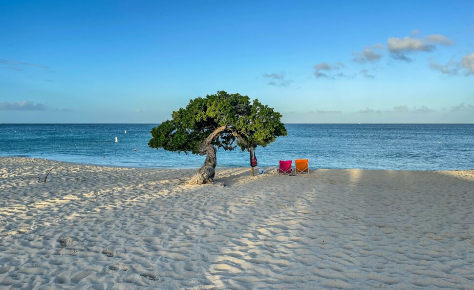 Beach with a tree and two chairs for an Aruba trip