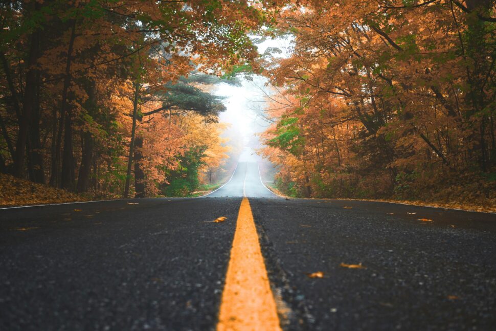 Road during Thanksgiving with vibrant fall foliage