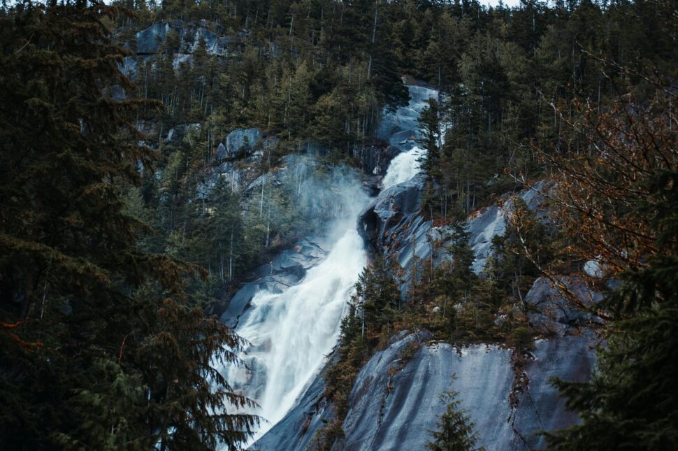 a waterfall in a forest in Vancouver