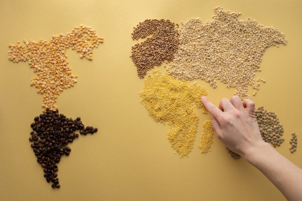 Continent shapes made out of food