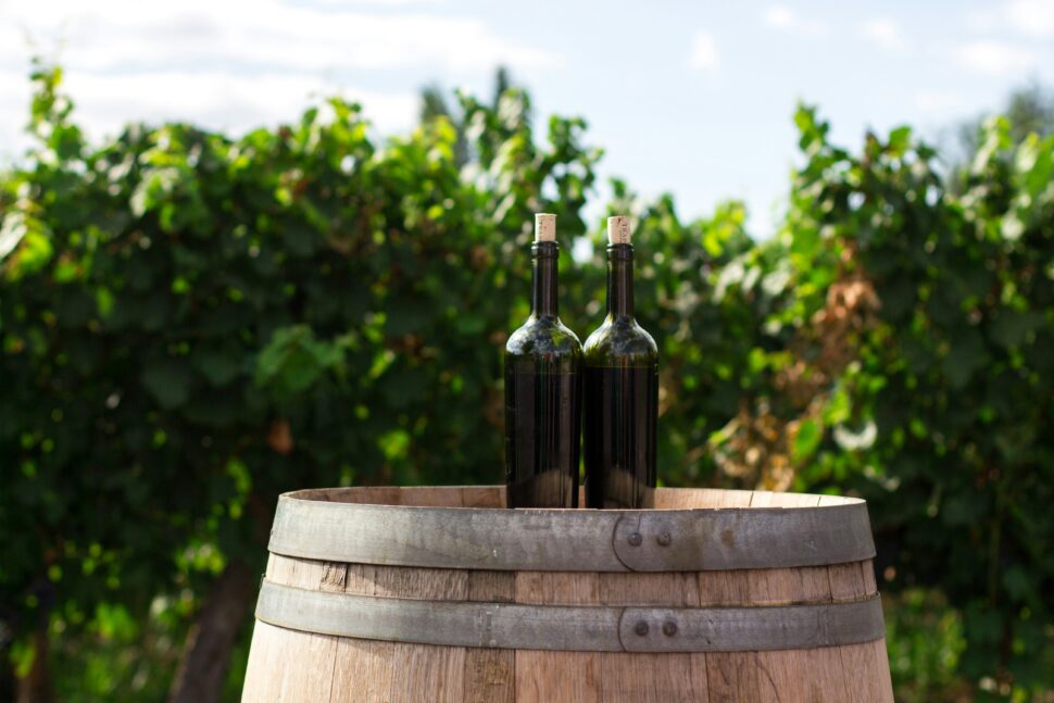 Wine bottles at a vineyard are popular day trips in Tennessee