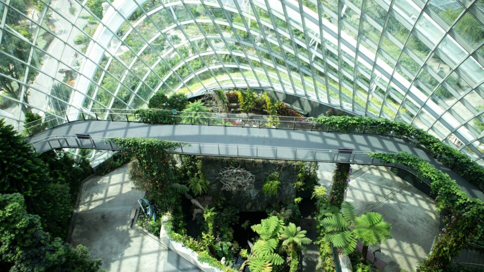 Gardens By the Bay plants in a greenhouse in Singapore