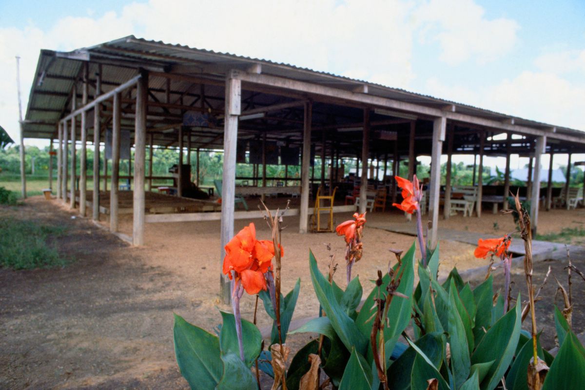 Guyana Considers Transforming Jonestown Into Tourist Attraction