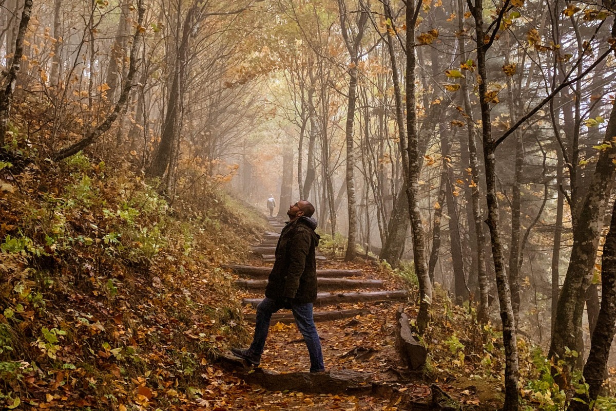 Popular Great Smoky Mountains Trail With 80-Foot Waterfall To Close For Major Renovations