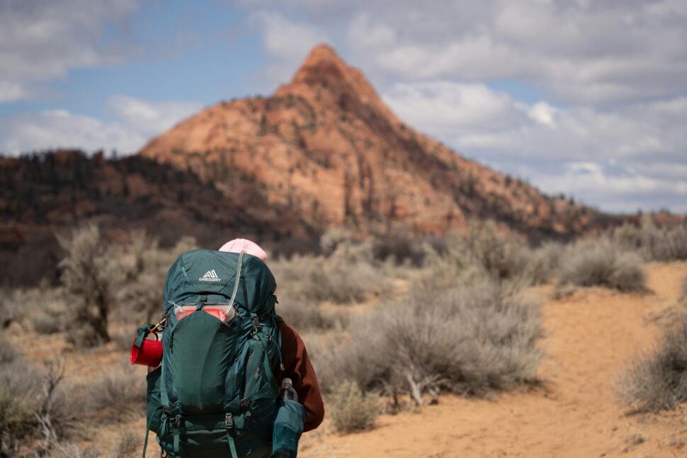 Hiker in Zion National Park