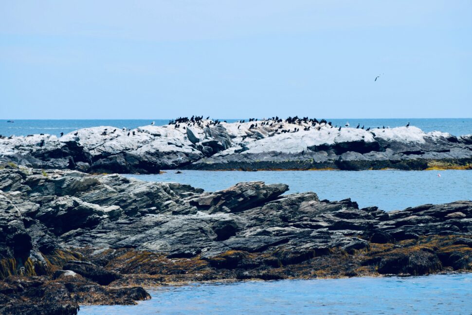 A breathtaking view of the Atlantic Ocean from Rhode Island beach rocks. 