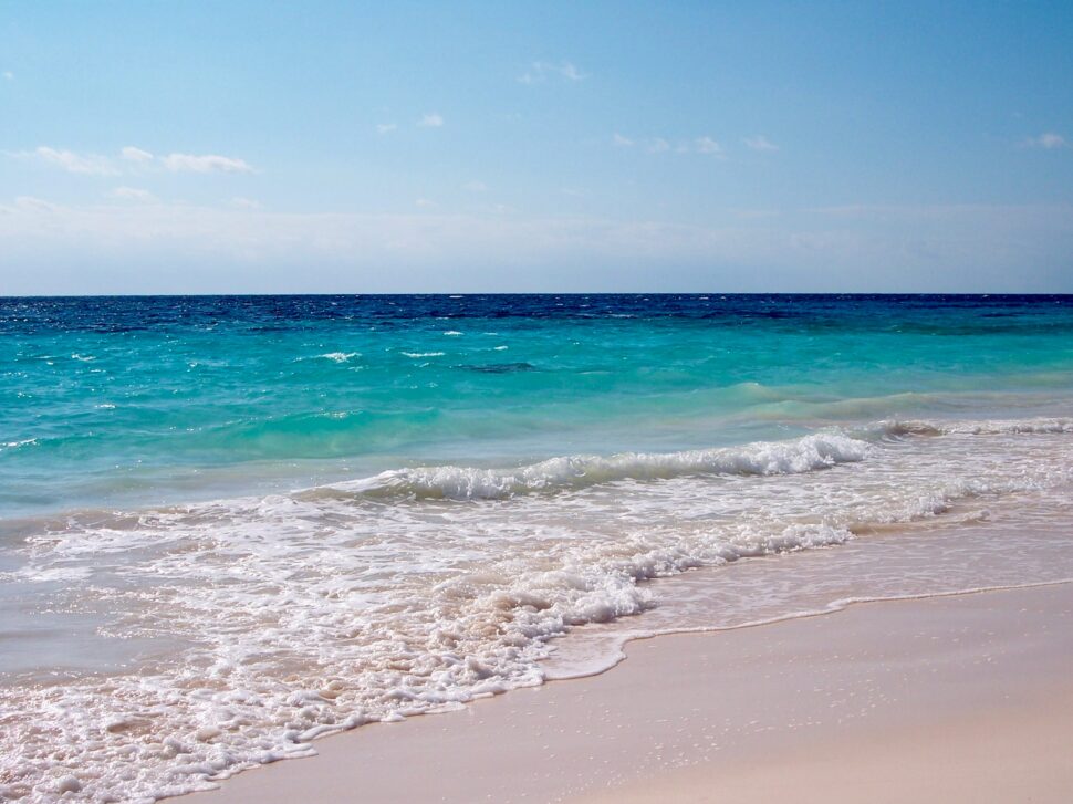 Horse Shoe Bay, Bermuda pink sand beach contrasted against clear waters