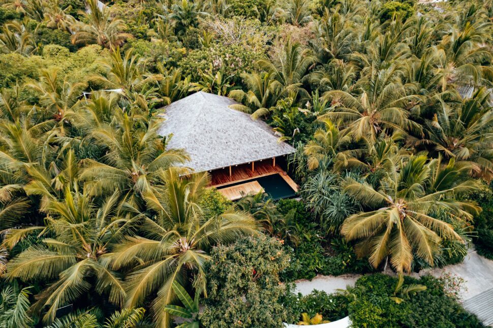 A luxurious hotel nestled amidst lush tropical foliage and tall palm trees, capturing the exotic charm of Zanzibar, Tanzania.