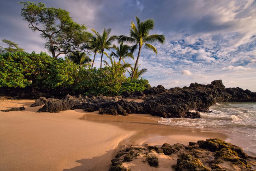 Golden sand beach with tropical foliage in Hawaii under the warm January sun.