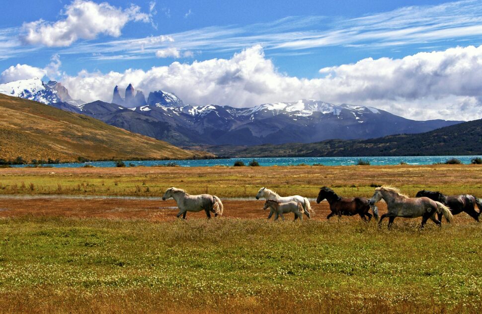 Chile Andes Mountains