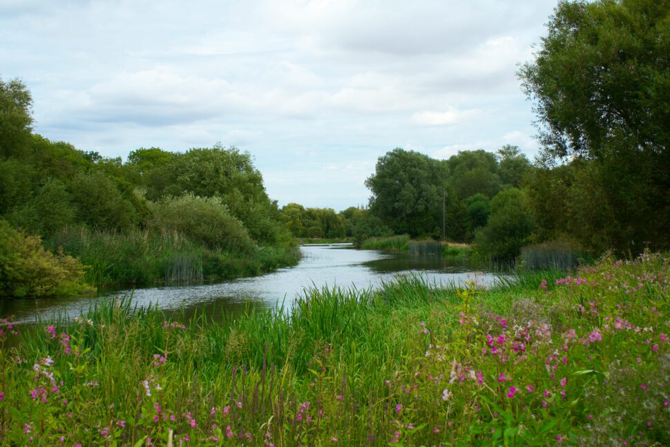  a park in Cambridgeshire, the city where part of 'The Six Triple Eight' was filmed