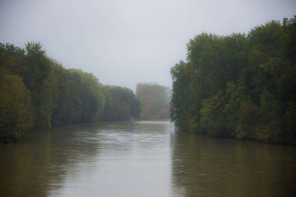 Scenic view of the Loire Valley, with lush trees lining the river and tranquil waters reflecting the surrounding greenery