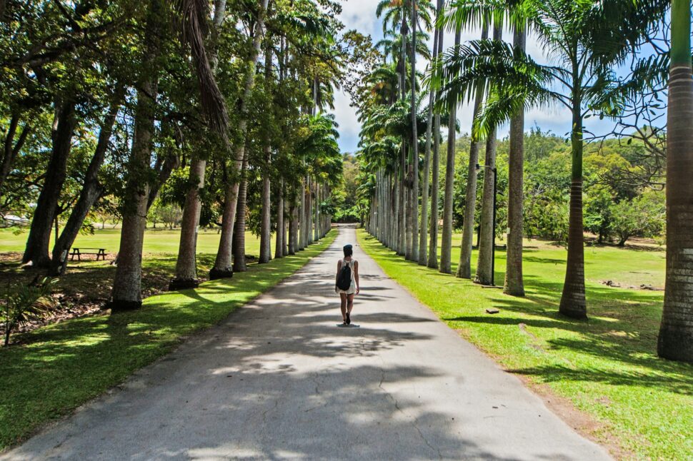 Woman walks near palm trees in Codrington College, Barbados