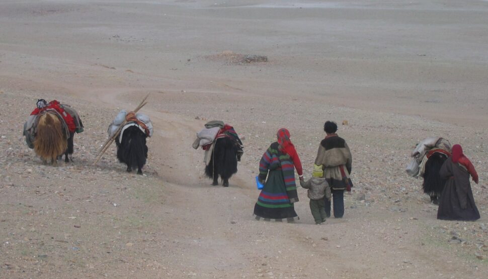 Changpas nomadic people walking in loose red and brown clothing in Changtang - Tibet