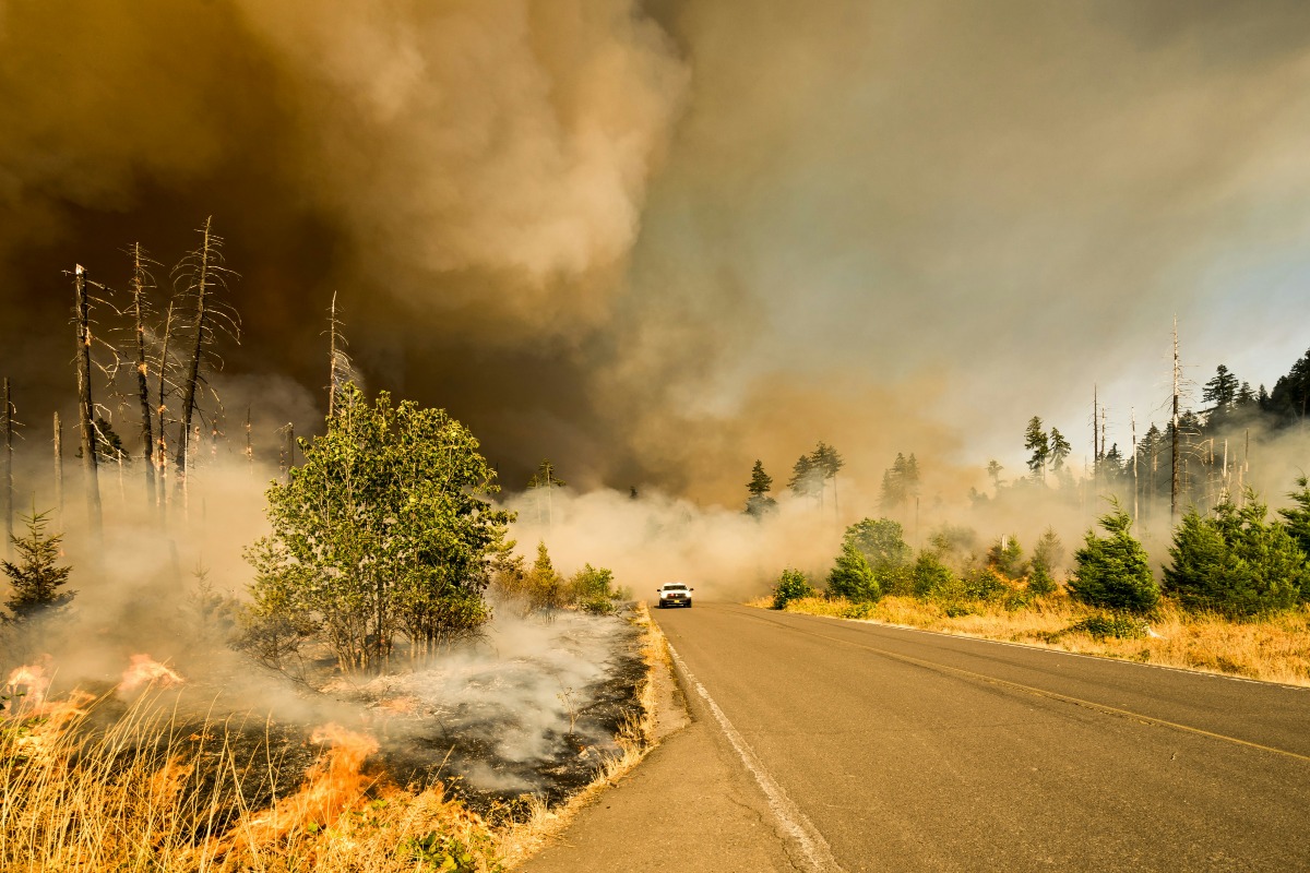 Here's A Full List Of LA County Wildfire Evacuation Shelters