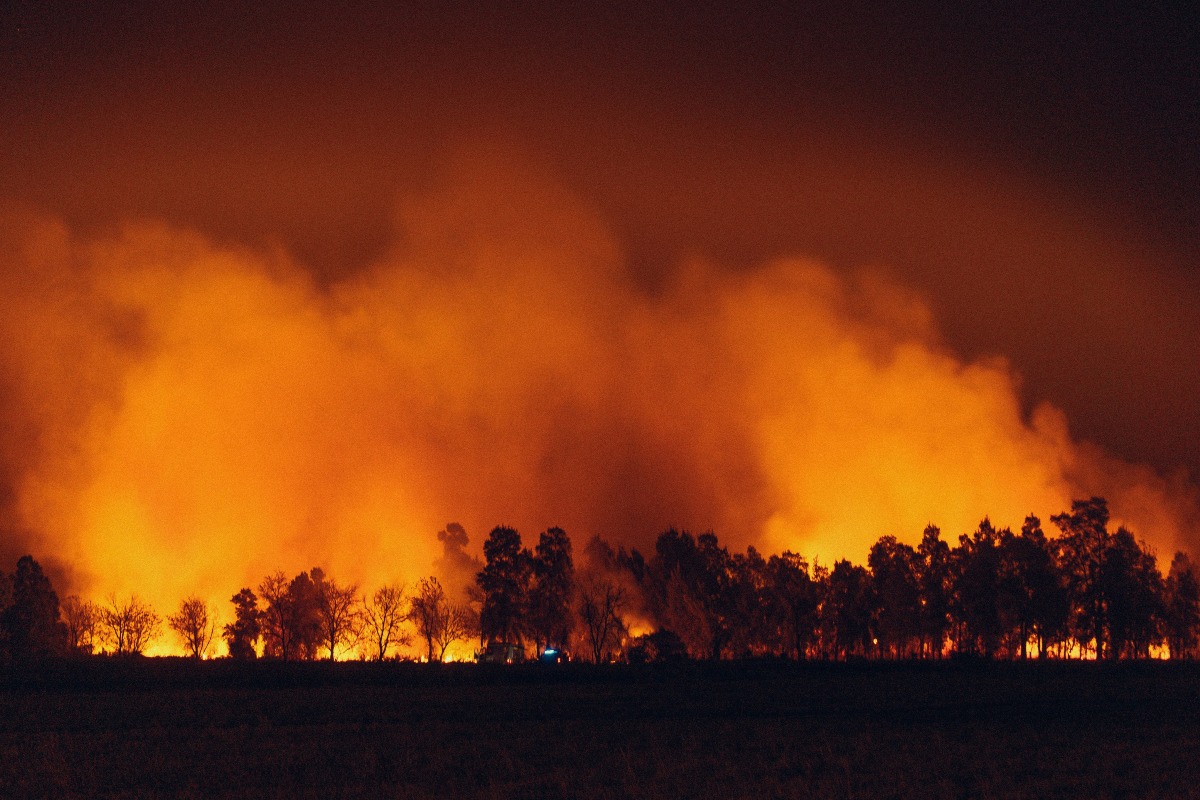 Los Angeles Wildfires: Evacuation Zones And Travel Impacts