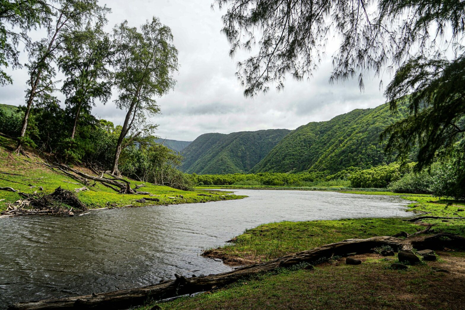 Body of water in the middle of trees and mountains of Hawaii