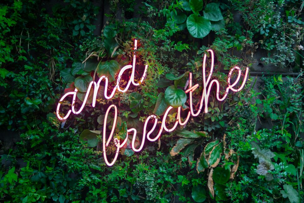 The word 'and breathe' written in neon text on a leafy background, for safety during a trip.