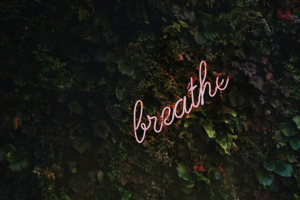 The word 'breathe' glowing in neon letters against a lush backdrop of green leaves, promoting mindfulness and relaxation.