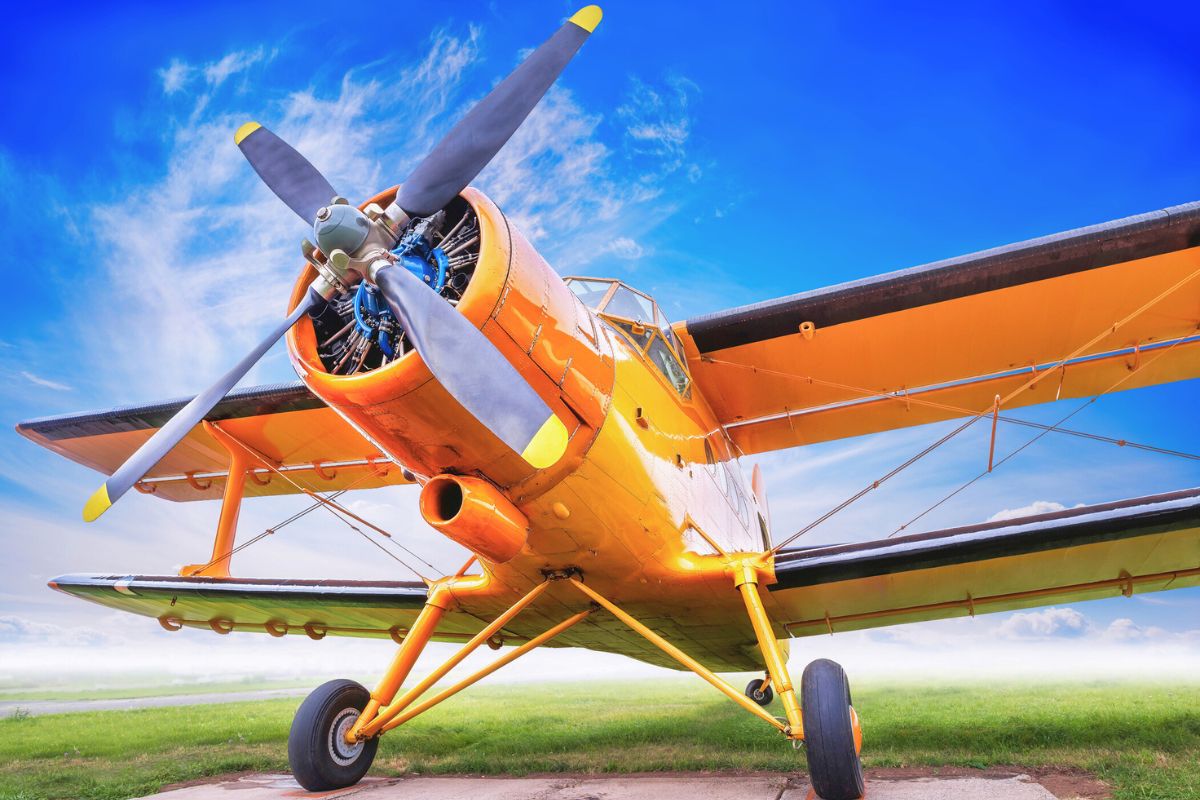 Willa Brown: America’s First Licensed Black Female Pilot