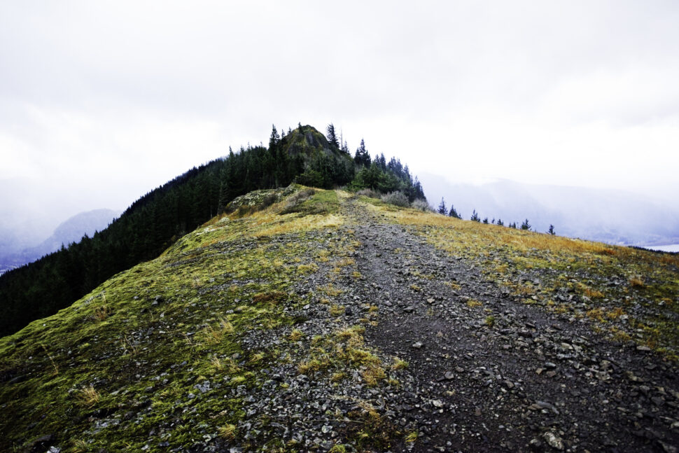 Footpath on mountain top in Pacific Northwest