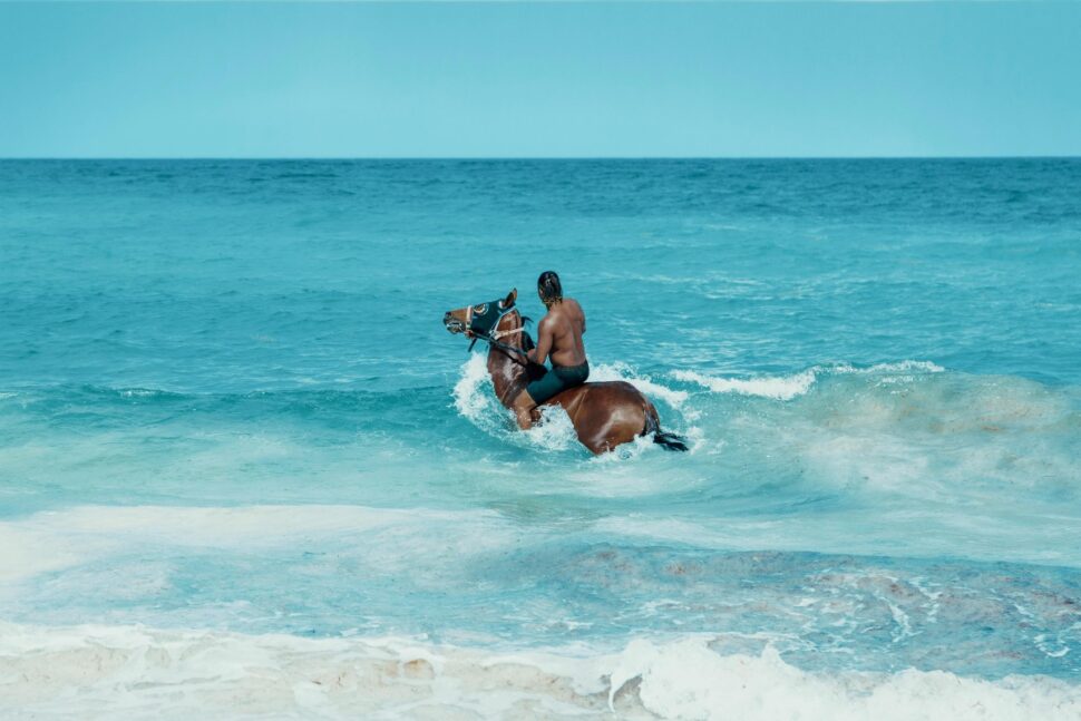 Man Riding on Brown Horse on Ocean Water