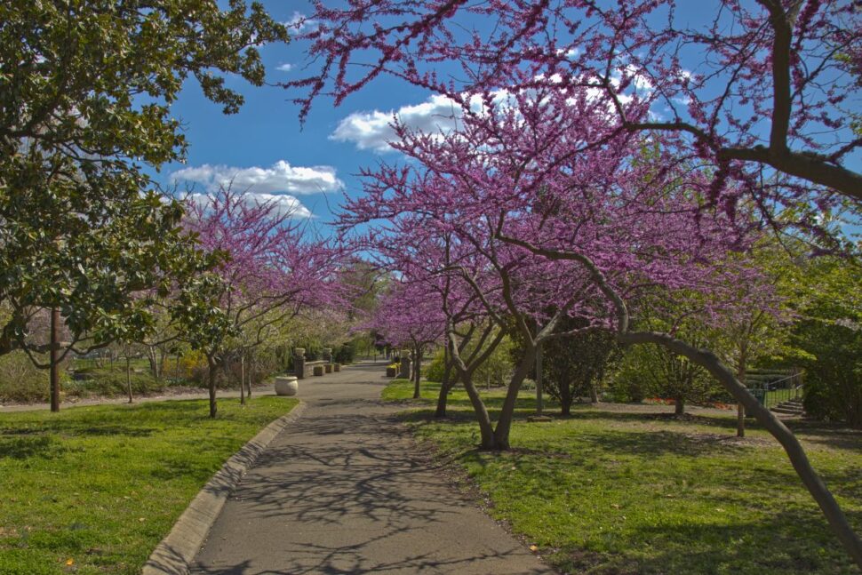 Centennial Park Nashville