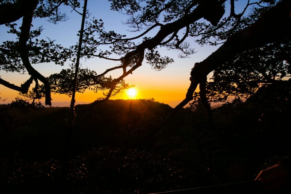 Puntarenas, Monteverde, Costa Rica