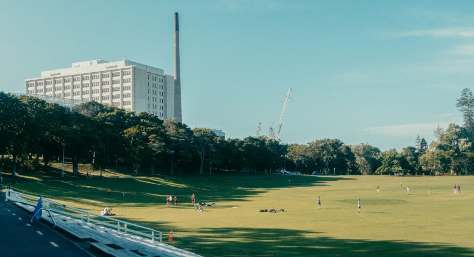 ‘Heart Eyes’ scenes were filmed in Auckland Domain.