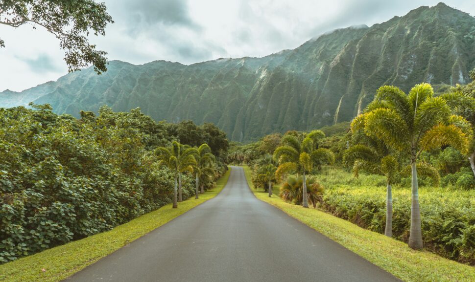 Long stretch of Hawaiian road with lush forestry on either side.