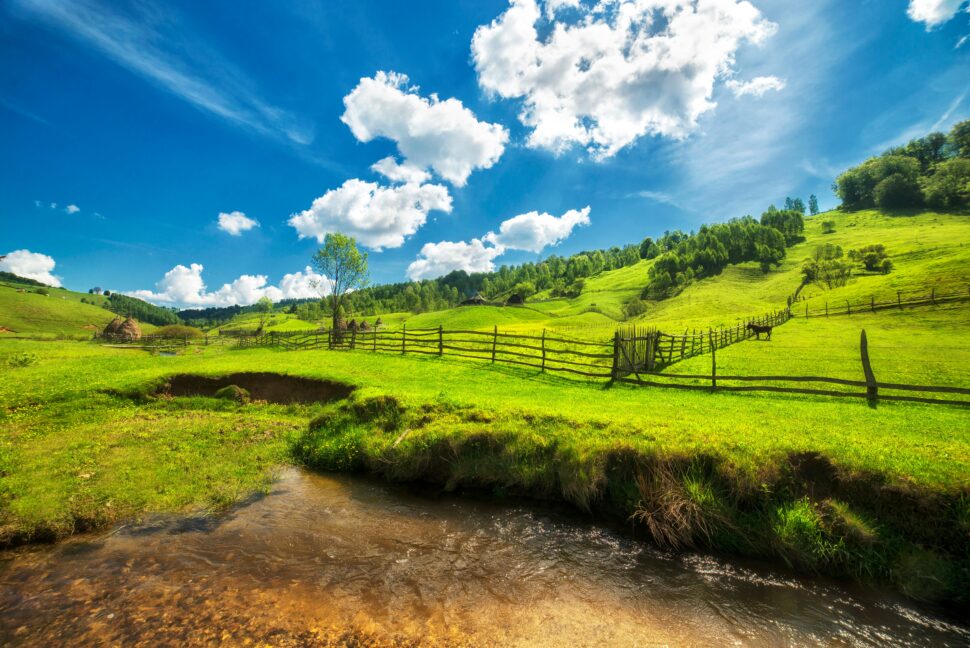 The Apuseni Mountains is a ‘The Legend of Ochi’ filming location.