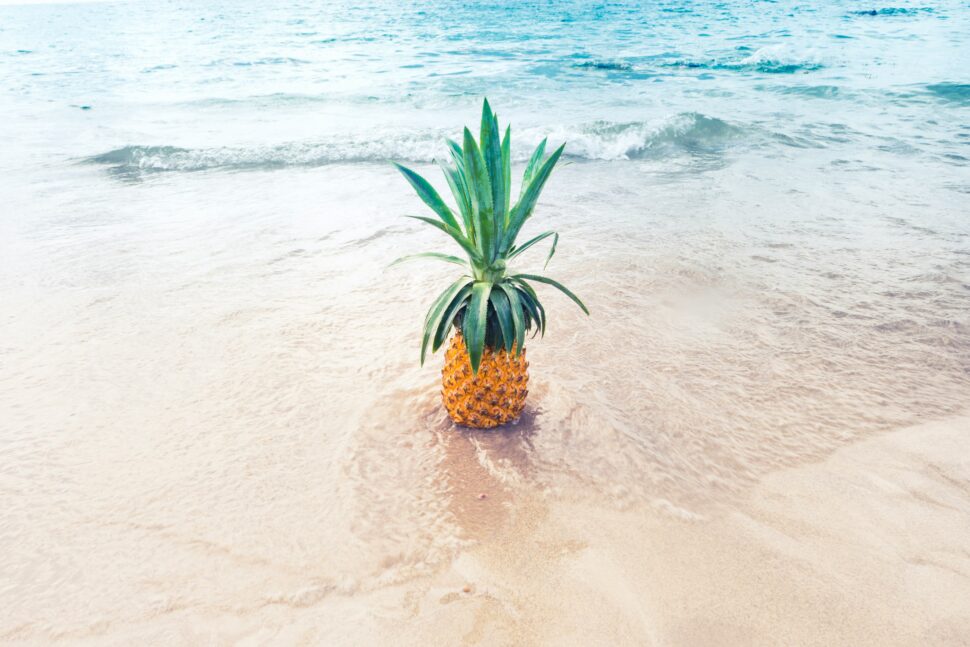 Pineapple in beach sand as art often seen at San Diego exhibits.