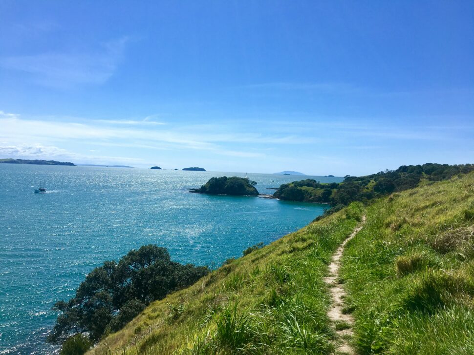 The spooky movie ‘Heart Eyes’ filmed in a not so spooky place, Waiheke Island. 