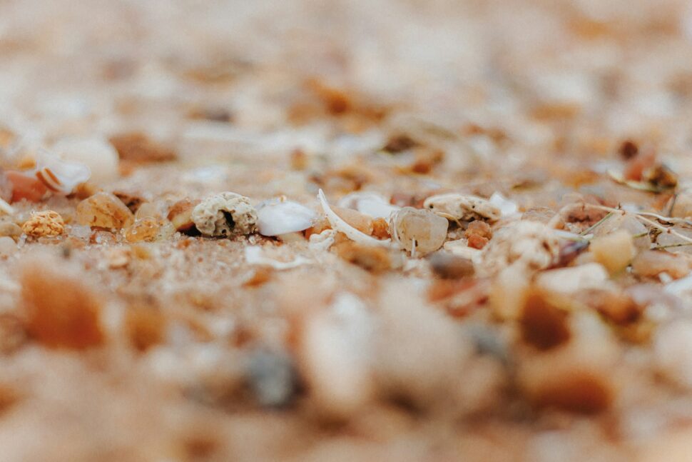 Small shells and rocks in the sand on a beach.