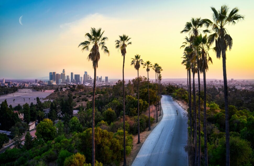 Road with palm trees with Los Angeles in the background