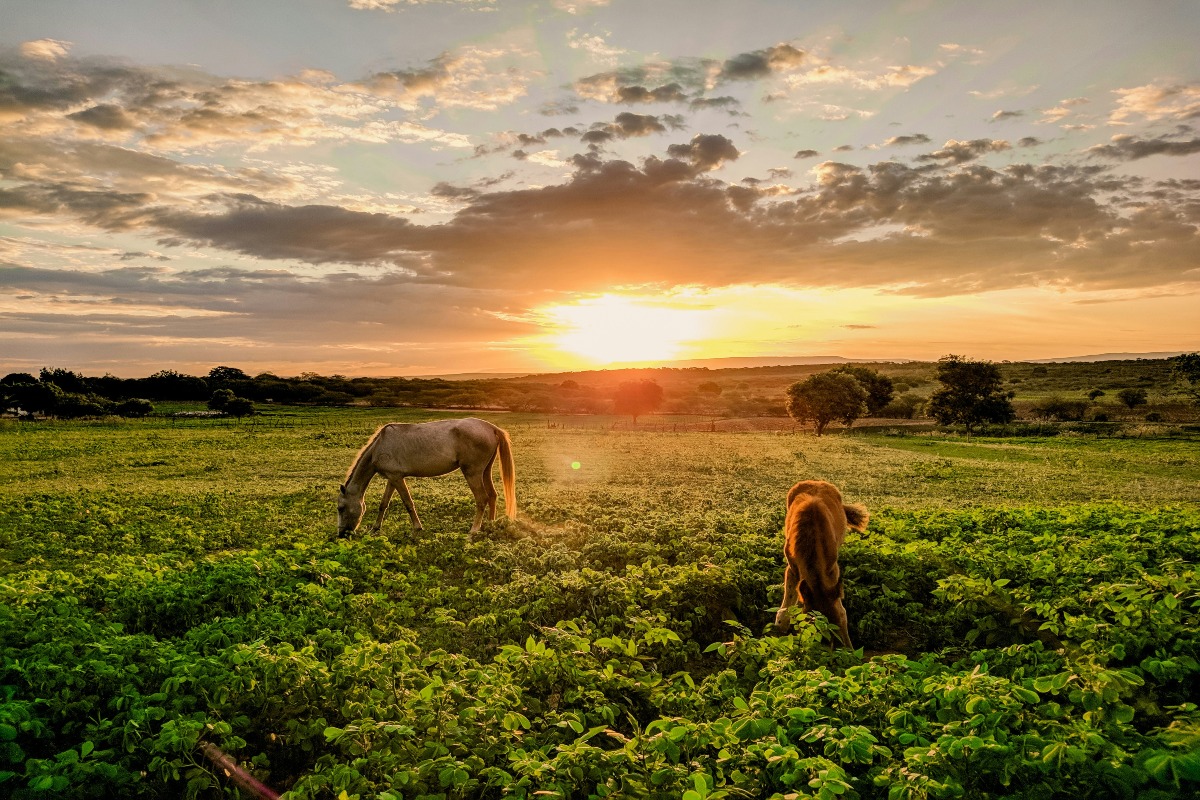 6 Luxury Dude Ranches To Add To Your Travel Bucketlist