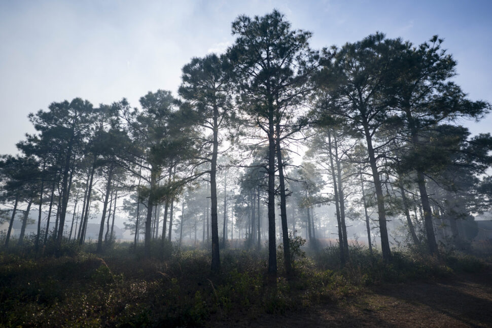 Fires in North Carolina pictured: Myrtle Beach