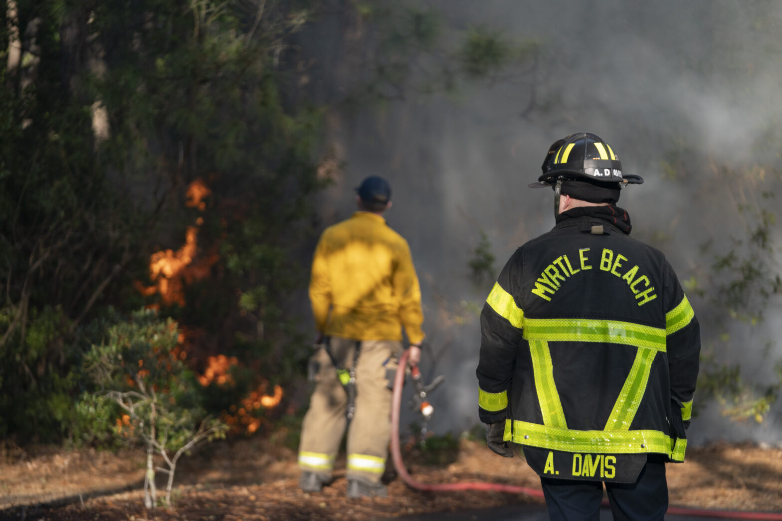 Everything We Know So Far About the Carolina Wildfires