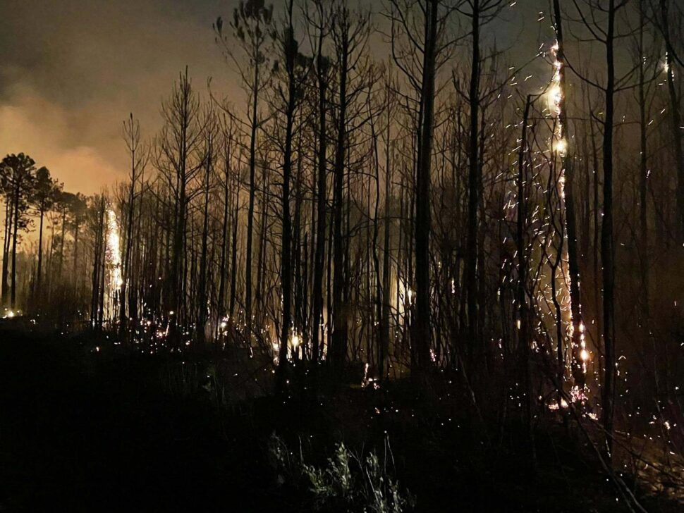 Carolina Wildfires pictured: South Carolina fire