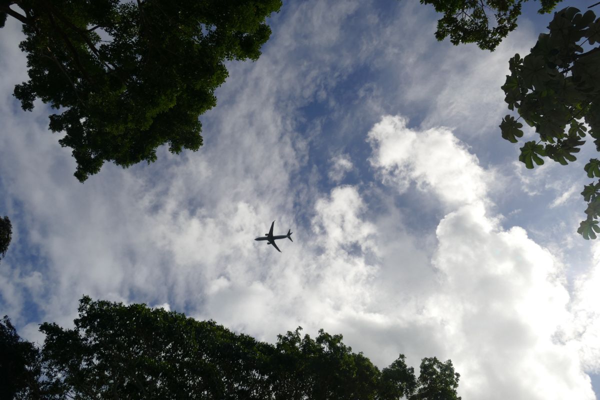 plane flying over Roatán, Honduras