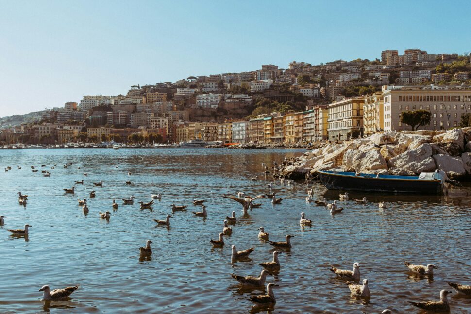 Sea gulls on the Italian coast