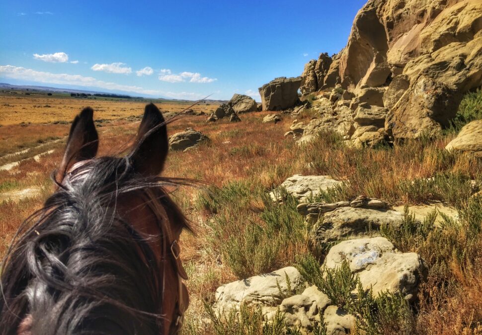 Visitors of Wyoming are in for a country-themed treat.