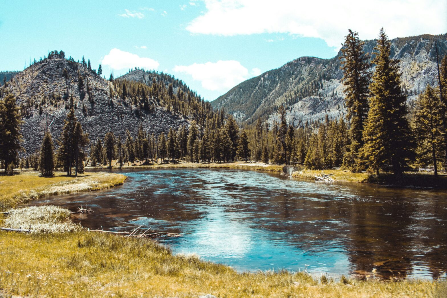 Yellowstone National Park during the day