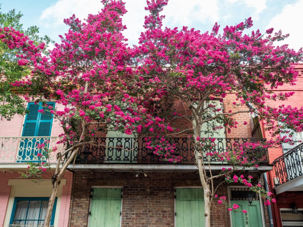 New Orleans in the spring