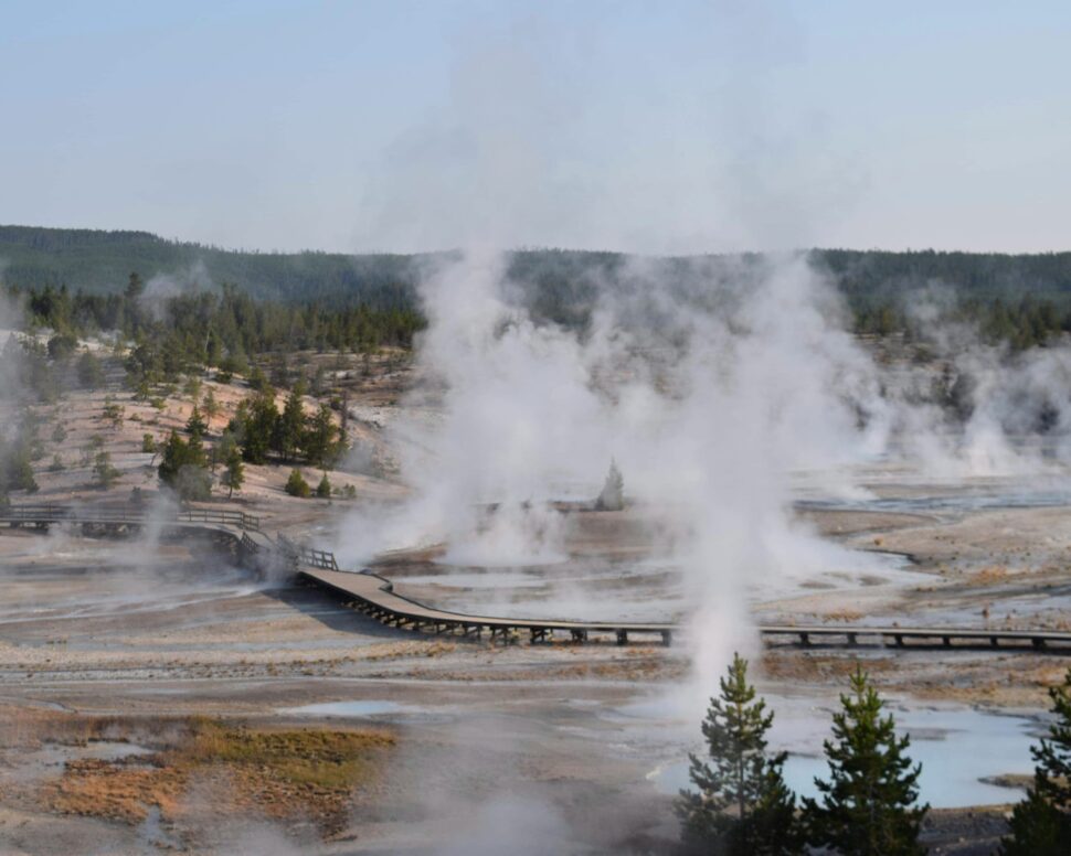 Geysers wafting steam from the ground at Yellowstone National Park