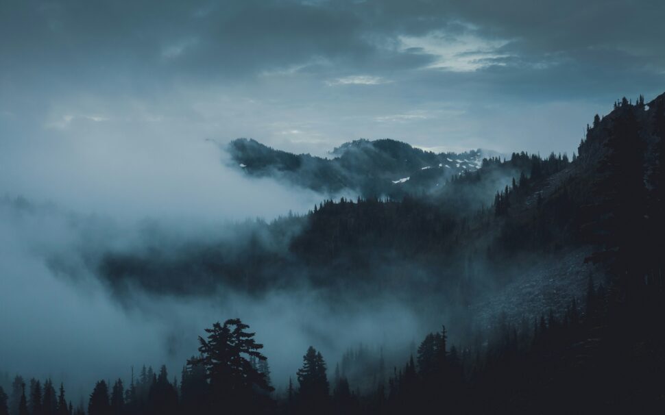 Mist overhanging Olympic National Park for a trip from Seattle.